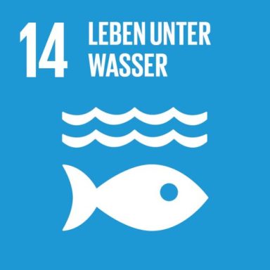 
Ozeane, Meere und Meeresressourcen im Sinne nachhaltiger Entwicklung erhalten und nachhaltig nutzen
