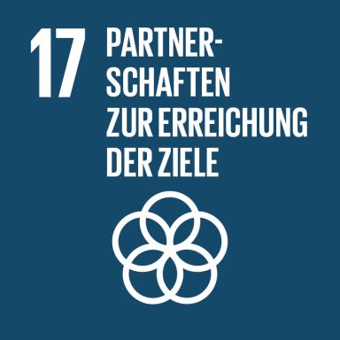 
Umsetzungsmittel stärken und die Globale Partnerschaft für nachhaltige Entwicklung mit neuem Leben erfüllen
