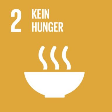 Symbol für das Ziel "Kein Hunger" mit einer Schüssel und aufsteigenden Dämpfen.