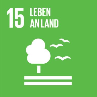 
Landökosysteme schützen, wiederherstellen und ihre nachhaltige Nutzung fördern, Wälder nachhaltig bewirtschaften, Wüstenbildung bekämpfen, 
