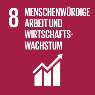 
Dauerhaftes, inklusives und nachhaltiges Wirtschaftswachstum, produktive Vollbeschäftigung und menschenwürdige Arbeit für alle fördern
